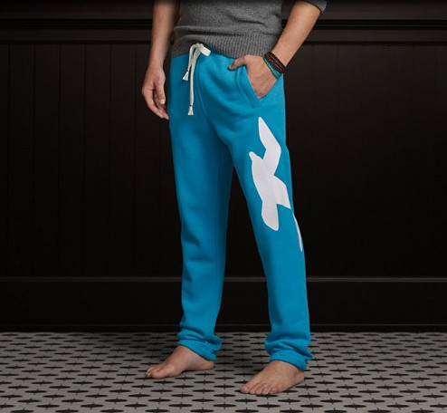 Hollister Hombres Vellón Basculador Pantalones HCO3712